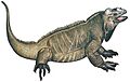 Stamps of Germany (Berlin) 1977, Cyclura cornuta