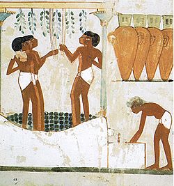 Archivo:Tomb of Nakht (13)
