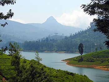 Archivo:UG-LK Photowalk - 2018-03-24 - Maskeliya Reservoir (3)