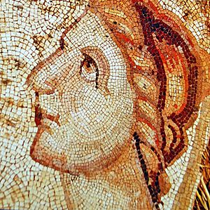 Archivo:Villa Romana de La Olmeda Mosaicos romanos 002