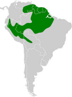 Distribución geográfica del vireón coronigrís.