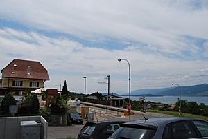 Archivo:2012-05-26-Seeland (Foto Dietrich Michael Weidmann) 282