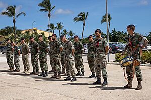 Archivo:A Caribbean 245th 06
