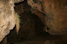 Acceso a la Cueva de la Hoz 09.JPG