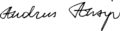 Accession Treaty 2011 Andrus Ansip signature