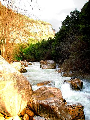 Archivo:Alnahr