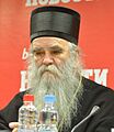 Amfilohije Radovic-mc.rs (cropped)