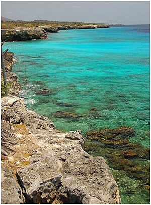 Archivo:Bonaire 2031 (467411720)