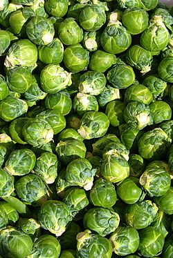 Brussels sprout closeup.jpg