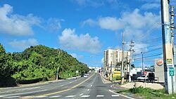 Carretera PR-459, Aguadilla, Puerto Rico.jpg