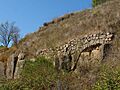 Castell d´Aguilar - Aguilar de Segarra CIC 20110926 00547