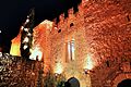 Castell de Montsonís (Foradada) - 2