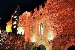 Archivo:Castell de Montsonís (Foradada) - 2