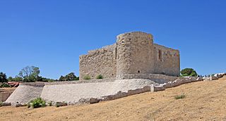 Castillo de La Alameda (Madrid) 05.jpg