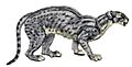 Dinictis felina by R. B. Horsfall (coloured)