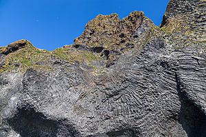 Archivo:El Órgano, acantilado de Heimaey, Islas Vestman, Suðurland, Islandia, 2014-08-17, DD 039
