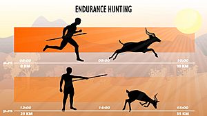 Archivo:Endurance hunting timelapse