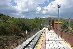 Archivo:Estación de Prado de la Guzpeña 02
