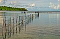 Fish trap, Pango, Efate, Vanuatu, April 2008 - Flickr - PhillipC (1)