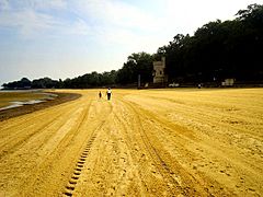 Flickr - ronsaunders47 - BEACH TO ONE'S SELF 2. RYDE IOW.