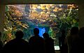 Georgia Aquarium Tropical Tank