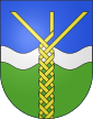 Isorno-coat of arms.svg