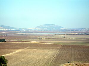 Archivo:JPF-Jezreel Valley and Mount Tabor
