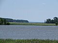 Jamestown Island, Colonial National Historical Park, Virginia (14424171752)