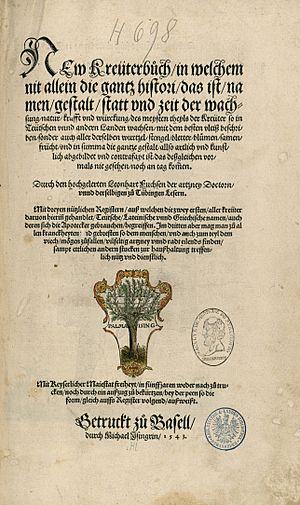 Archivo:Leonhart Fuchs Kreüterbuch 1543