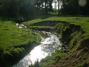 Archivo:Meander