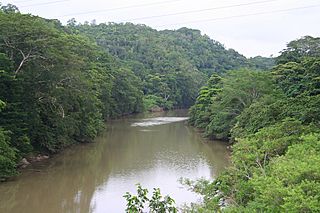 Mopan river 1.jpg