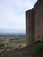 Muralla del Castillo de Davalillo con San Asensio al fondo