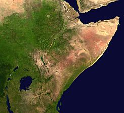 Nasa Horn of Africa.JPG