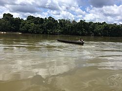 Archivo:Navegando en el rio Apaporis - Reserva Yaigojé Apaporis