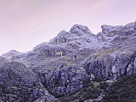 Nevado Urus, cara este 04 (cropped).jpg