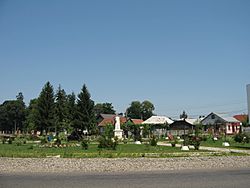 Parcul comunei Şcheia.jpg