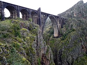 Archivo:Puente de ferrocarril sobre el río Ulla (4513462331)