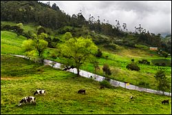 Archivo:Road to Choachi, Colombia (7654907444)