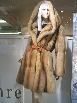 Archivo:Russian gold sable coat, Düsseldorf 2011