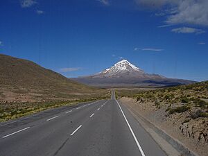 Archivo:Ruta 4 (Bolivia) con el Nevado Sajama de fondo