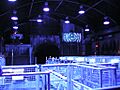 SFOT-Mr Freeze (Station)