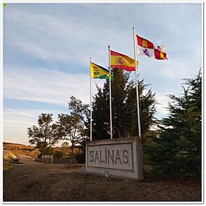 Archivo:Salinas de pisuerga 128