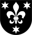 Salouf wappen