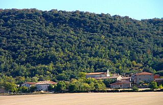 San Esteban de Treviño (Condado de Treviño) 17.jpg