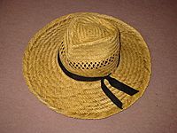 Archivo:Straw hat