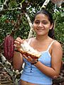 Tierra del cacao Ecuador