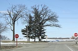 Town of Farmington Jefferson County Wisconsin Looking north at intersection of County D and County B.jpg