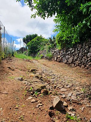 Archivo:Tramo del Callejón Grande