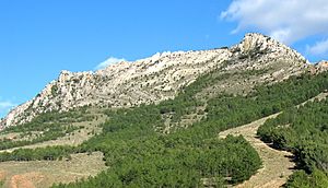 Archivo:Utrillas thrust front recumbent anticline - N420 Montalbán-Utrillas, Teruel, Spain