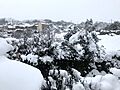 Valdemolinos nevado